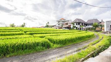 Pemandangan dari properti