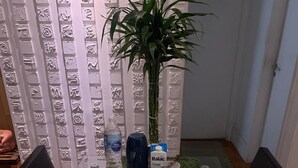 In-room dining - Quartos Vila Augusta  (Guarulhos)