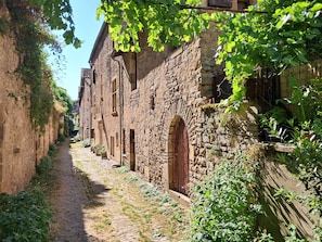 A narrow cobblestone street flanked by stone buildings with arched doorways and overgrown vegetation. - Maison Bakéa (Cordes-sur-Ciel)