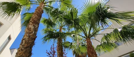 DĂ©tail de lâextĂ©rieur