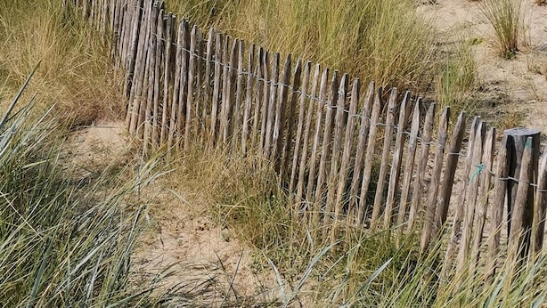 A sandy beach with a wooden fence and tall grass. - Regnéville sur Mer, gîte de La Sienne, between sea and countryside. (Regnéville-sur-Mer)