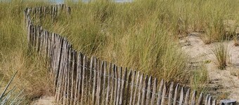 Regnéville sur Mer, gîte de La Sienne, between sea and countryside.