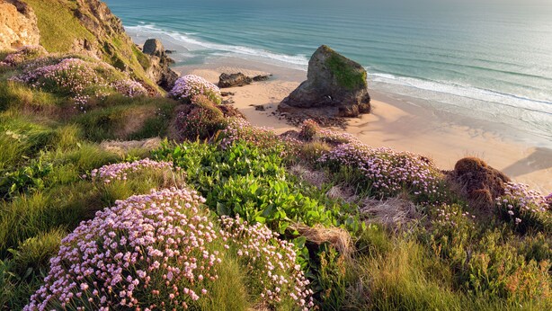 A coastal landscape with a beach, rocky outcrops, and wildflowers. - Beachfront apartment in Rock - Parking - Sea Views (Rock)