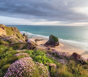 Un paysage côtier avec une plage, des affleurements rocheux et des fleurs sauvages.