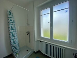 Shower, towels, toilet paper