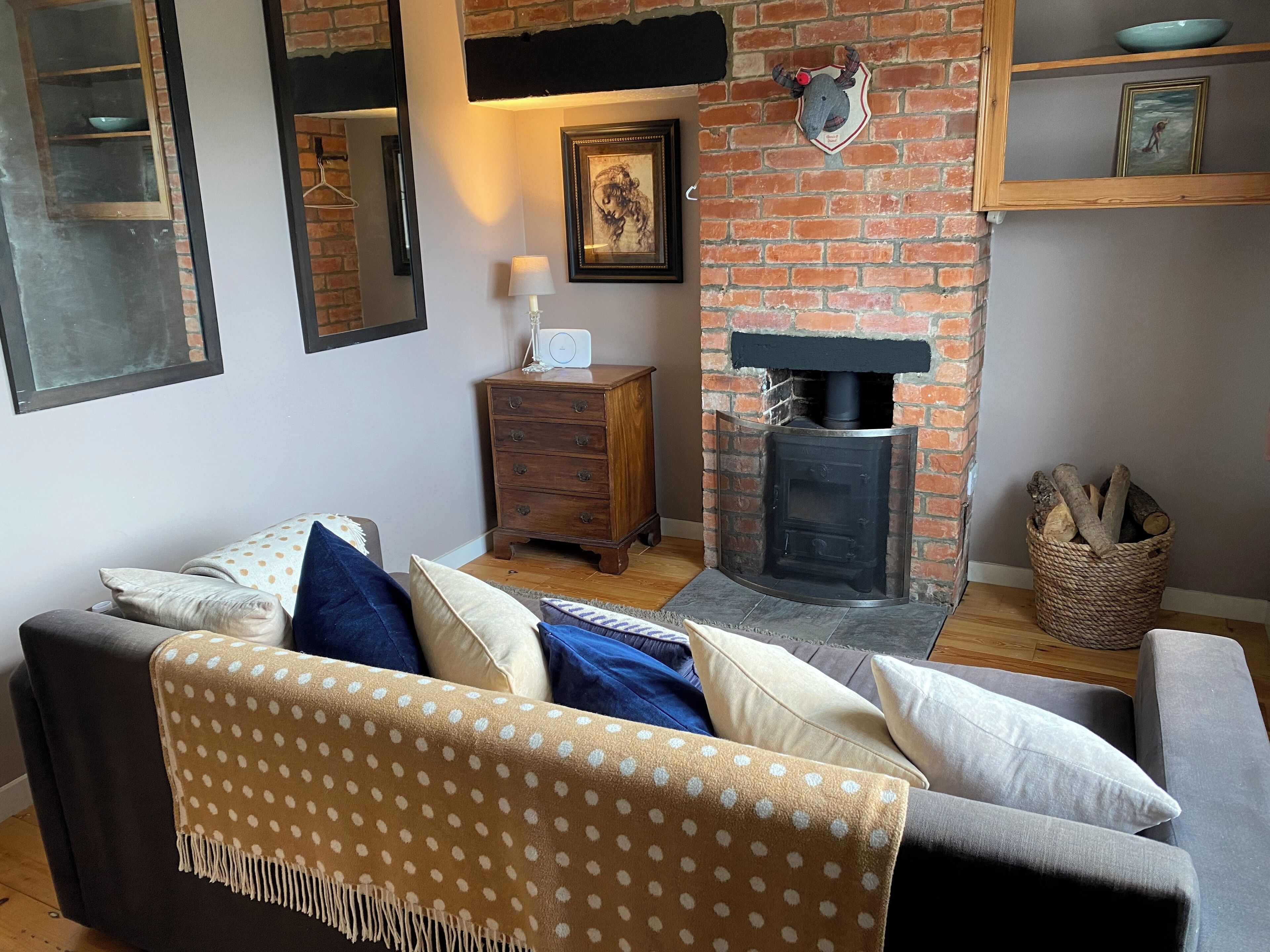 Smart TV, fireplace, DVD player, books