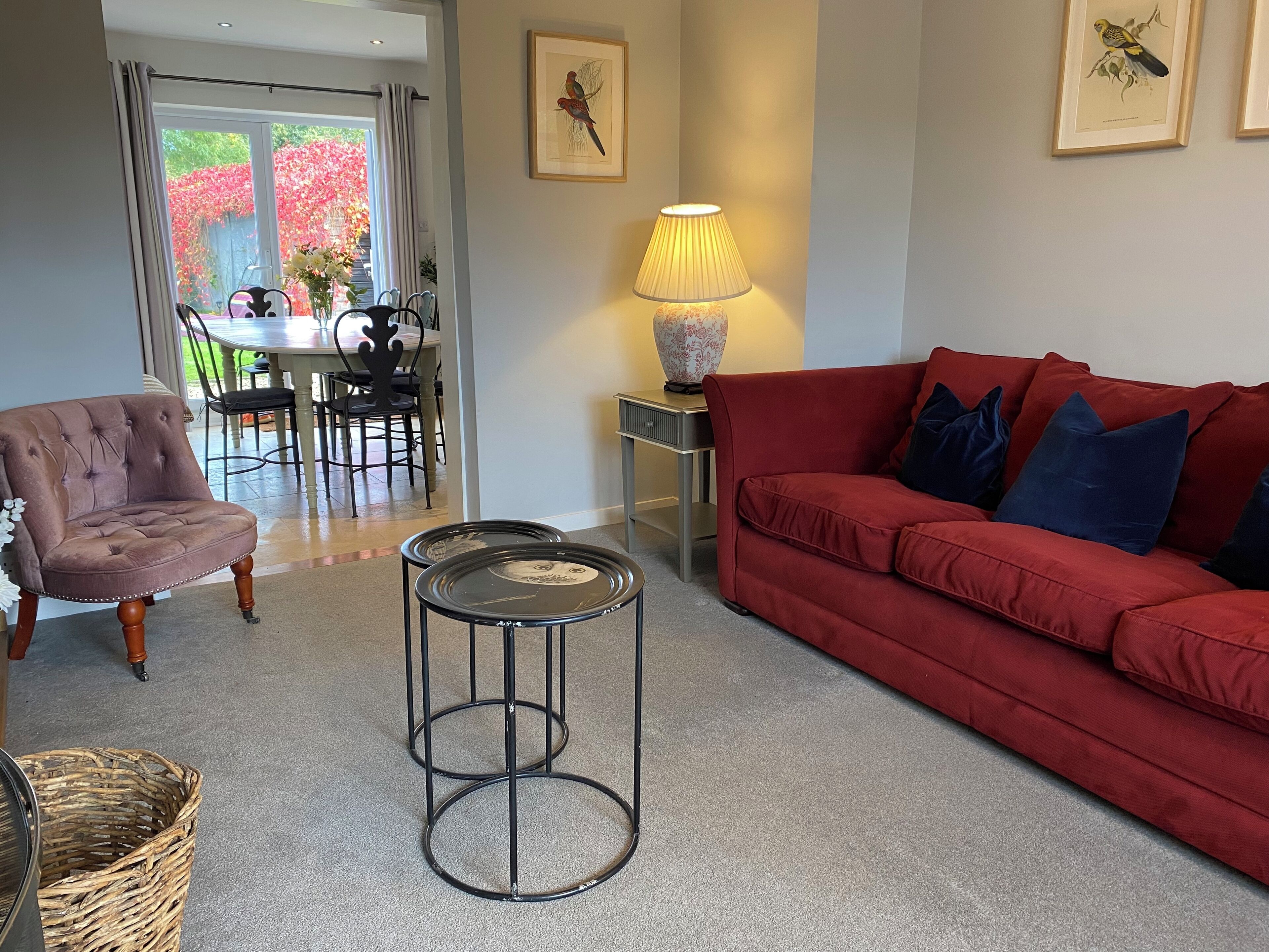 Smart TV, fireplace, DVD player, books