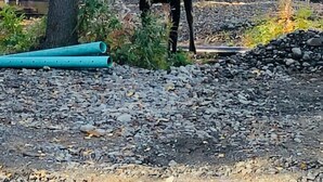 A small blue cabin with a porch, surrounded by trees and gravel. - Wilderness Escape 2 bedroom 1 bath 4 guests (Sterling)