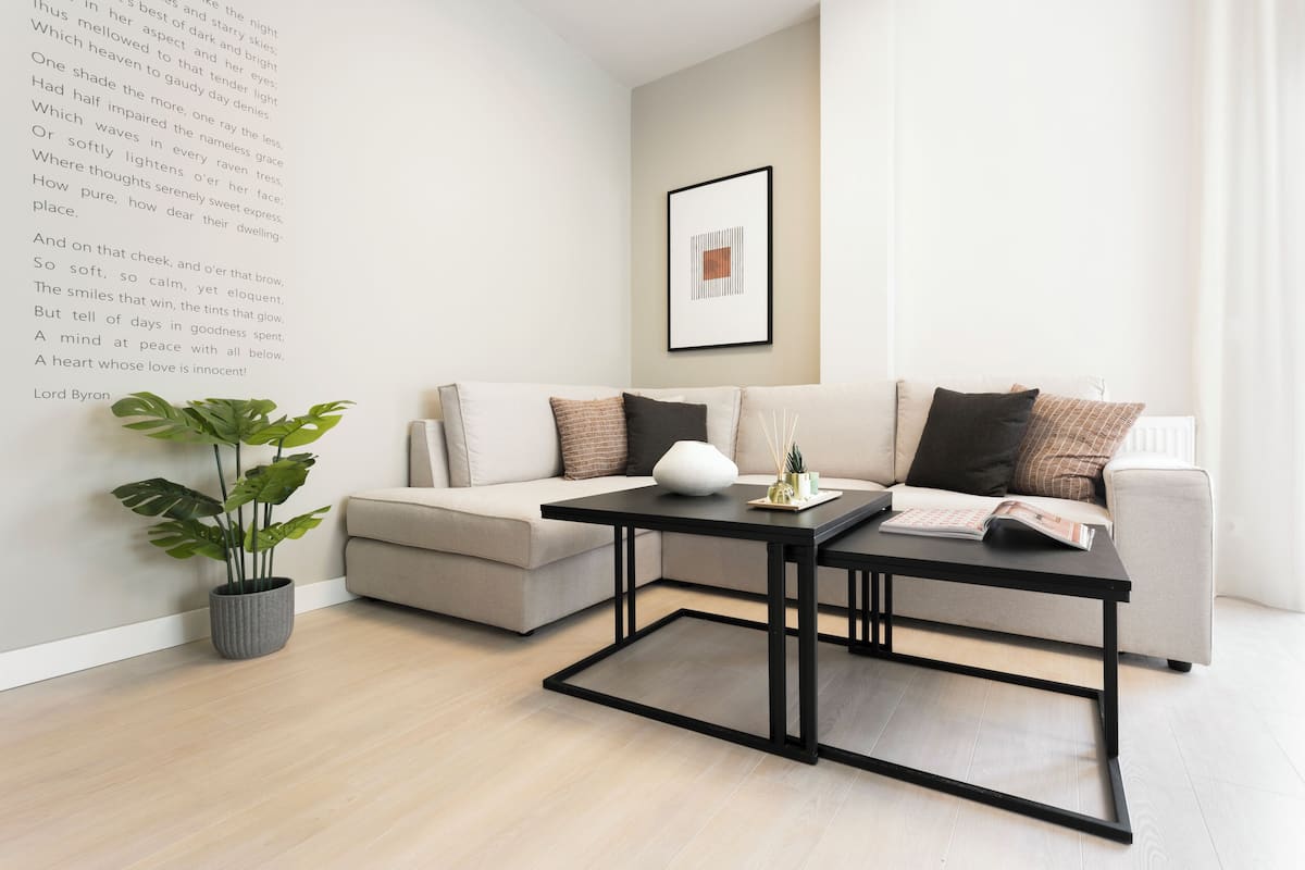 Un salon moderne avec un canapé, deux tables noires, une plante en pot et un tableau encadré accroché au mur.