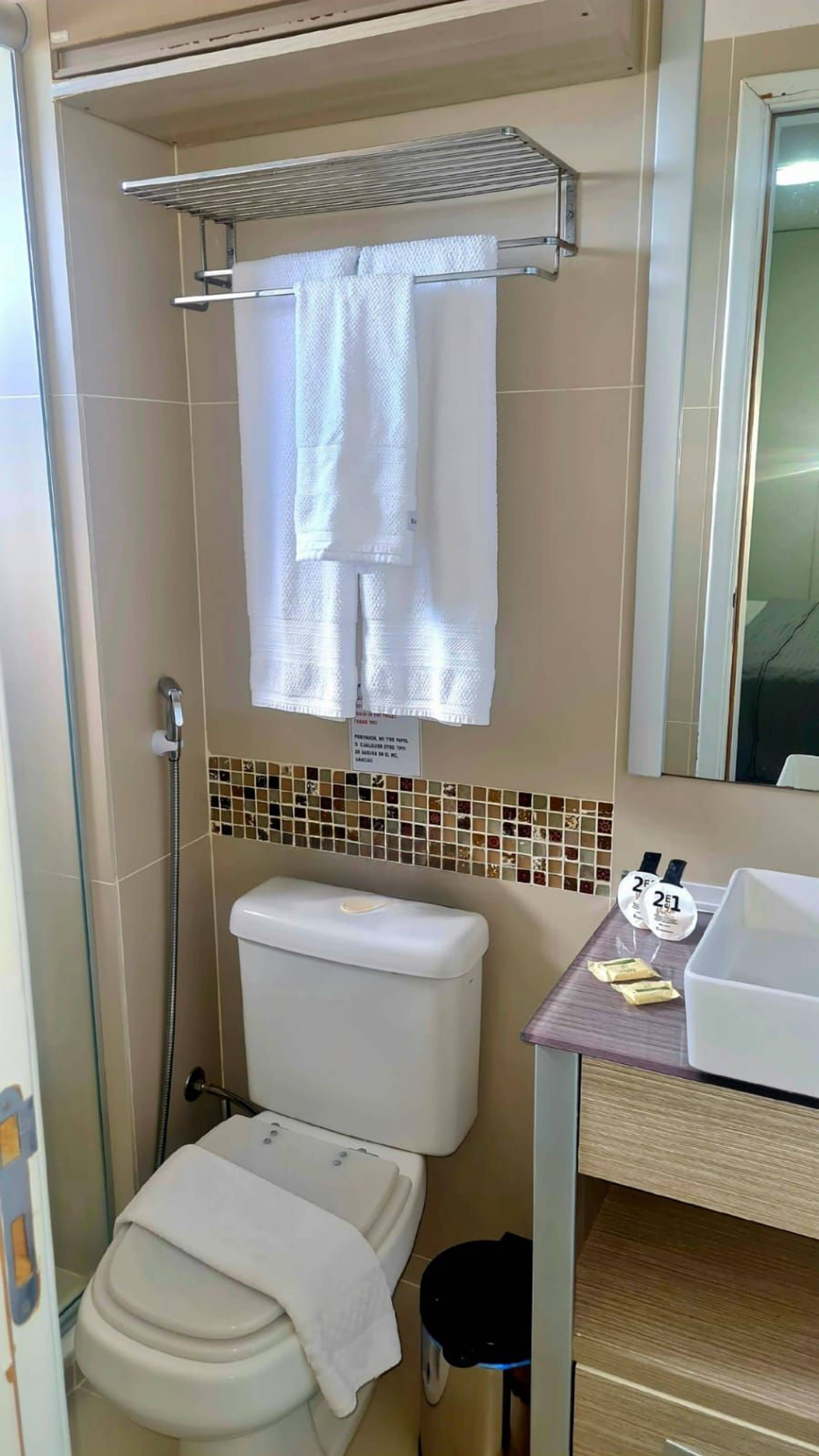 A bathroom with a shower, toilet, and a sink with a mirror.
