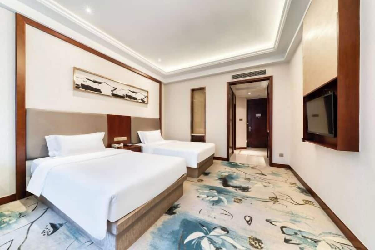 Une chambre d’hôtel avec deux lits, un grand miroir, un téléviseur à écran plat et une moquette à motifs floraux.