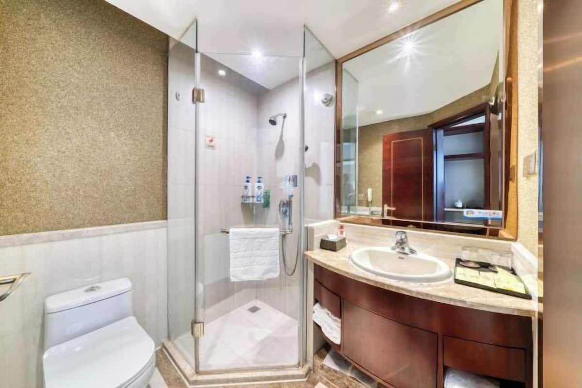 Une salle de bain moderne avec une douche à parois de verre, des toilettes blanches, un lavabo avec un meuble-vasque et un grand miroir.