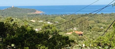 施設からの眺望