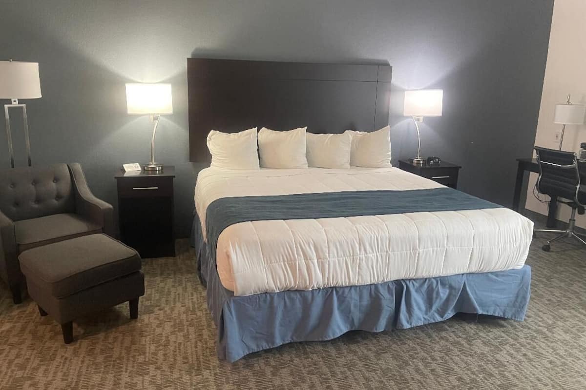 Deluxe Single Room | 1 bedroom, premium bedding, desk, laptop workspace