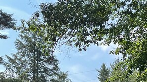 A two-story house with a red roof, surrounded by lush greenery and trees. - 2-bedroom cabin nestled in the Adirondack Park (Northville)