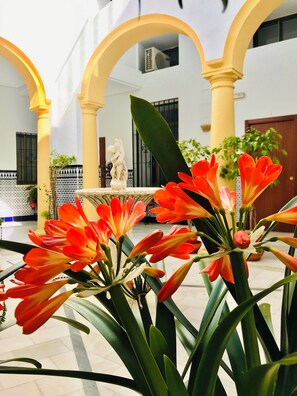 Property grounds - Fabuloso Loft en Centro Histórico de Córdoba. Tendillas. Mezquita-catedral (Córdoba)