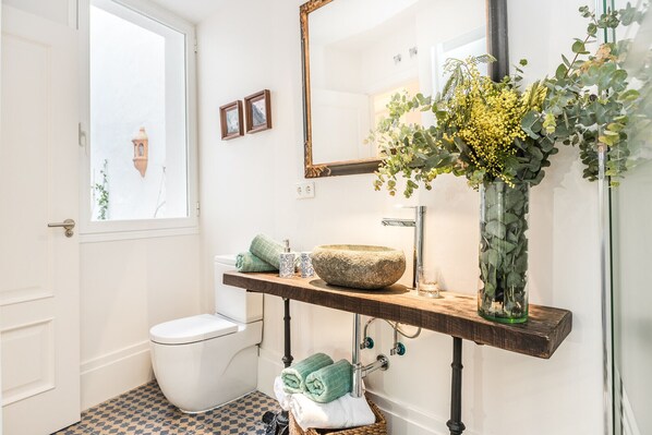 Shower, hair dryer, towels