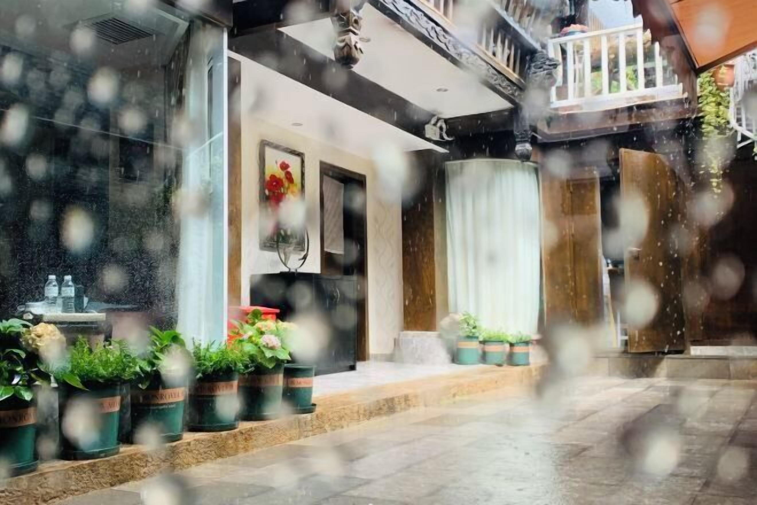 A hotel entrance with a modern design, featuring a glass door, a small indoor garden, and a staircase leading to the upper floor.