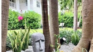 En trädgård med en skulptur i form av ett stenhuvud, palmer och olika typer av växter.