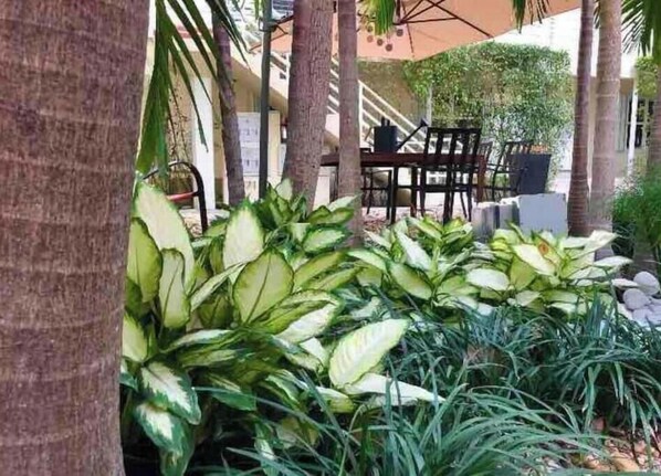 A patio area with a table and chairs, surrounded by large leafy plants and palm trees.