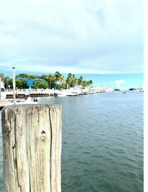 A wooden pier extending into calm waters with boats docked, palm trees, and a clear sky. - Cozy 1/1 Apartment in the heart of Coconut Grove (Miami)