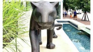 Una escultura de un animal grande cerca de un edificio con un letrero que dice "Bluemercury".