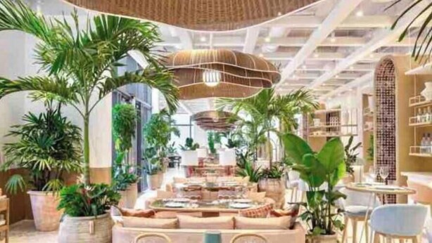 Un espacio interior bien iluminado con comedor, disposición de asientos y diversas plantas en macetas.