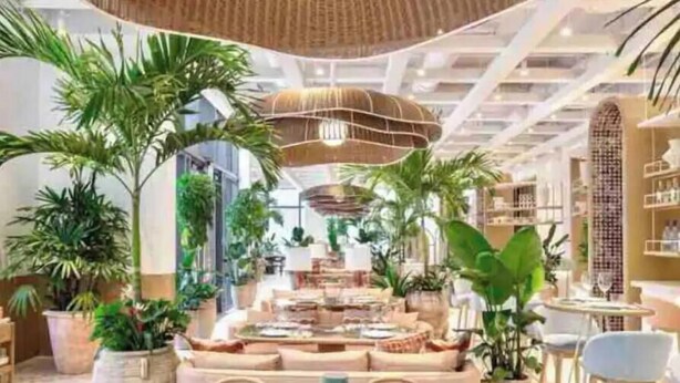 Un espacio interior amplio con una mesa de comedor preparada para dos personas, rodeado de asientos cómodos y grandes macetas con plantas.