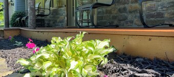 Second Chance - Your Gateway to Nature's Bounty!