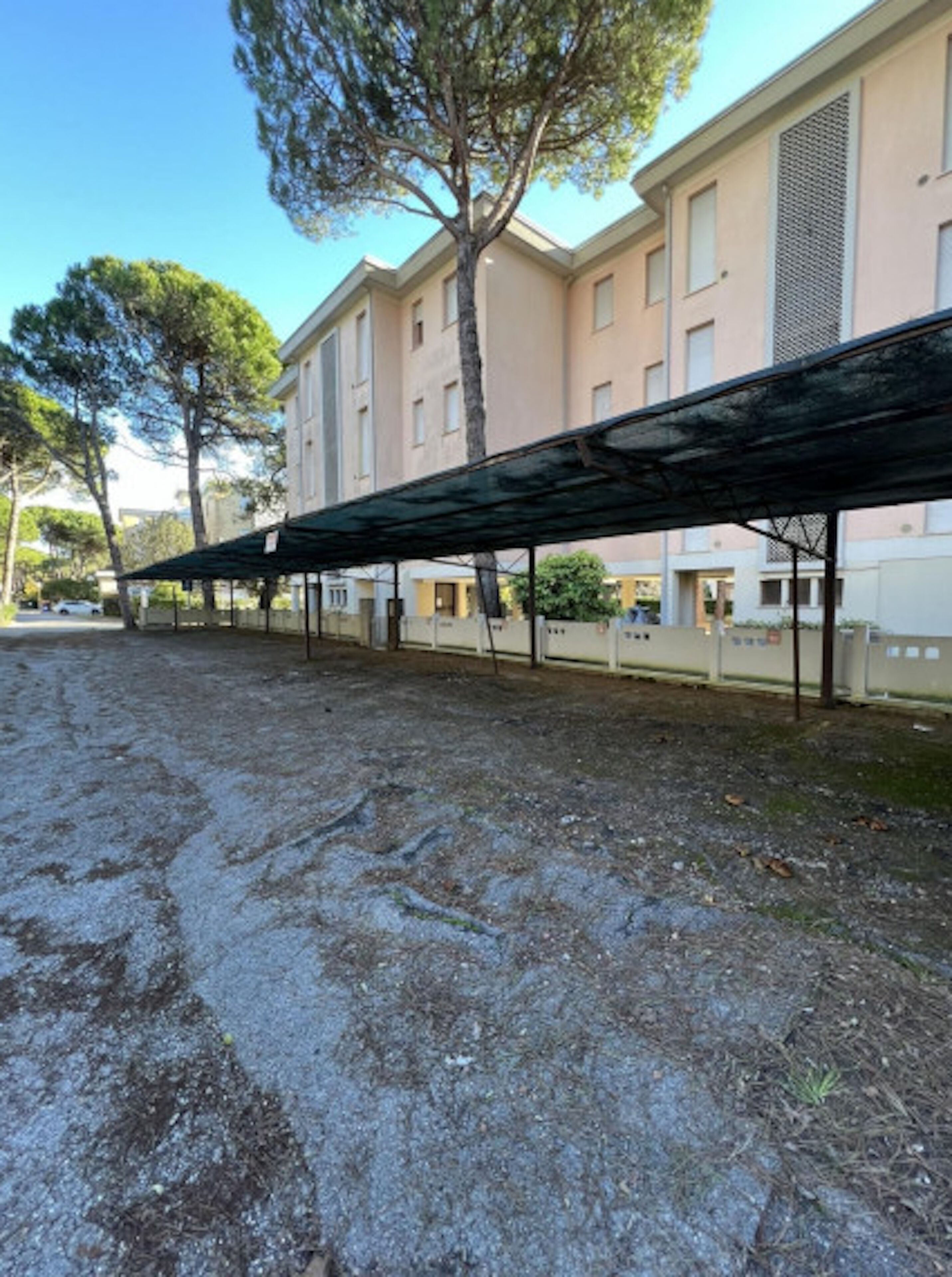 Un espace extérieur abrité, doté d’un sol pavé, d’une rangée d’arbres et d’un bâtiment avec de nombreuses fenêtres en arrière-plan.