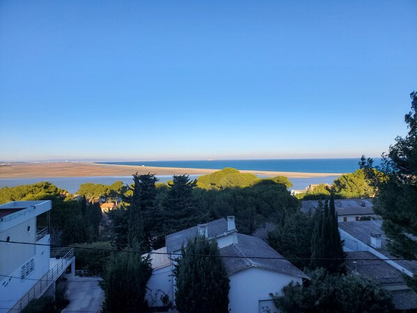 A coastal residential area with houses, trees, and a clear view of the sea.