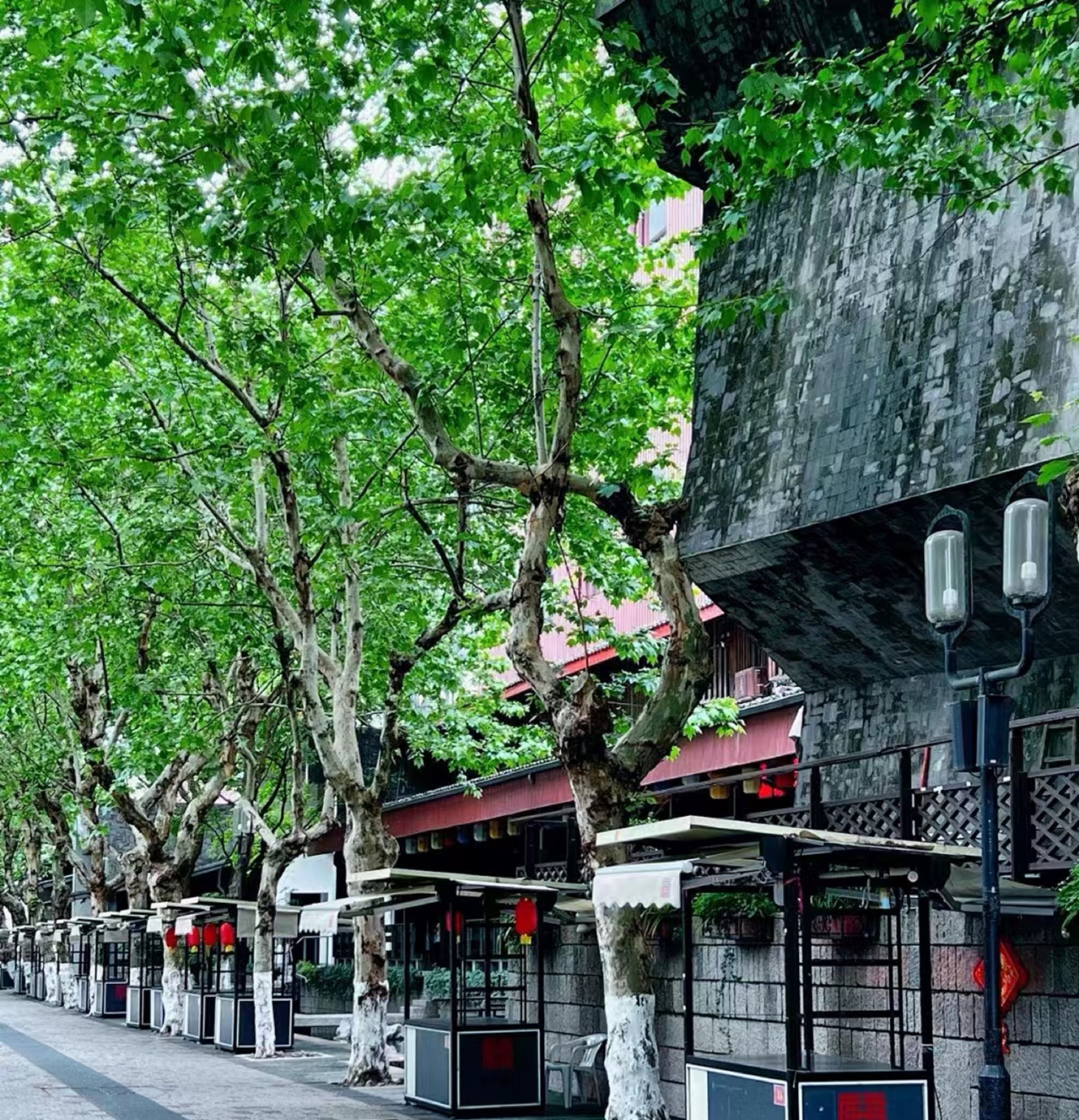 A row of traditional-style buildings with red roofs and white walls, lined with trees and street lamps.