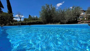 A clear blue pool surrounded by trees and a building. - Holiday home with pool, whirlpool and solarium (Perugia)