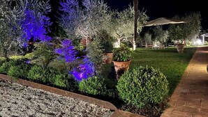 A landscaped garden with various plants and trees, illuminated by artificial lighting. - Holiday home with pool, whirlpool and solarium (Perugia)