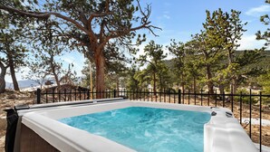 Una vasca idromassaggio con una piscina cristallina, circondata da una recinzione in metallo nero, con uno sfondo di alberi e un paesaggio montuoso.