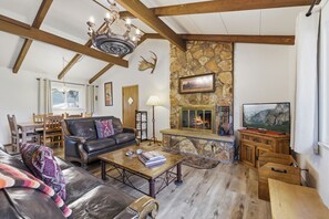 Smart TV, fireplace, books