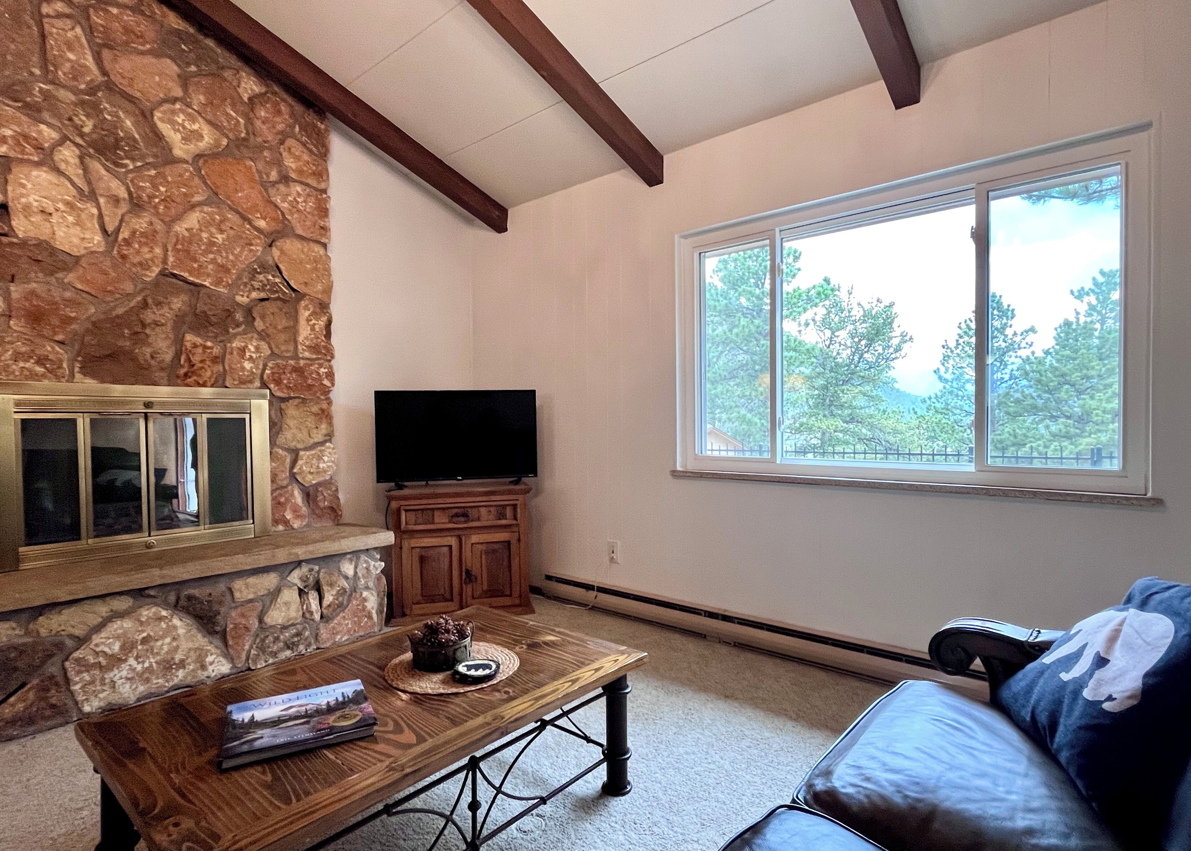 Smart-tv, pejs, bøger