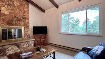 Smart-tv, pejs, bøger