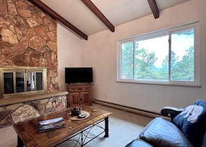 Smart TV, chimenea, libros