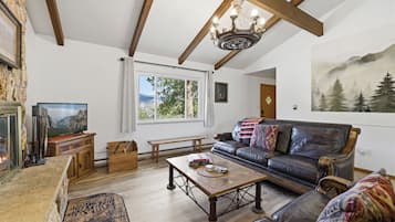 TV connectée, cheminée, livres