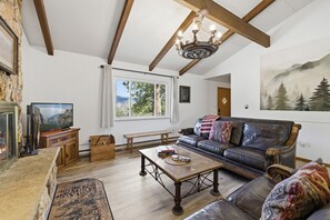 Smart TV, fireplace, books