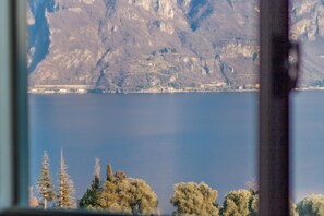 Apartment, Lake View | View from room