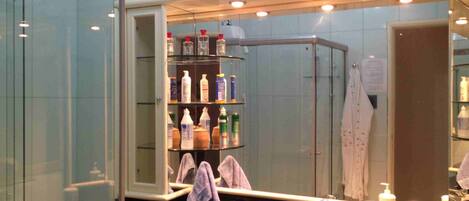 Douche, serviettes fournies, papier de toilette