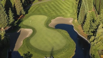 Vista aérea de un campo de golf con un estanque, rodeado de un bosque denso y un puente.