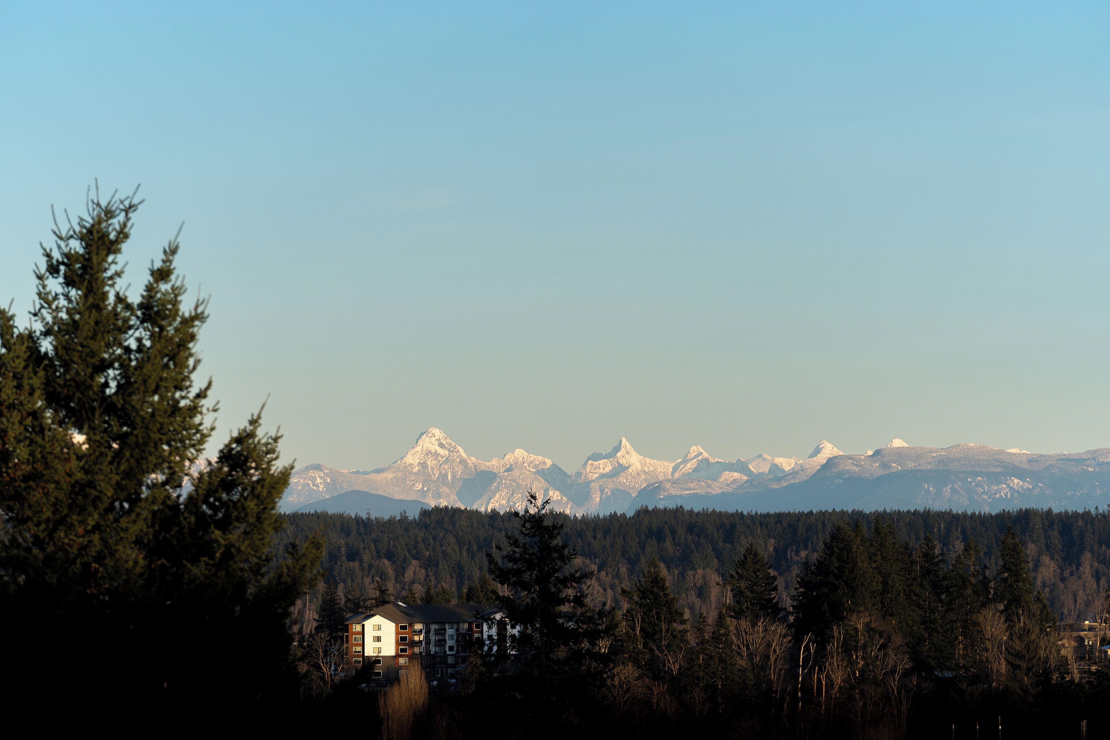 A mountain range with snow-capped peaks, a forested area, and a building with multiple floors.