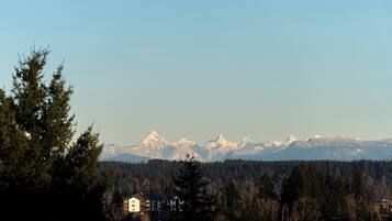 A mountain range with snow-capped peaks, a forested area, and a building with multiple floors.