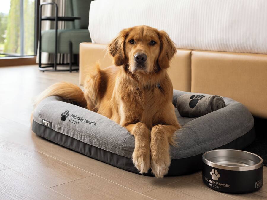 A dog lying on a grey pet bed with a paw print design, next to a metal food bowl with a logo, in a room with a wooden floor and a beige sofa in the background.