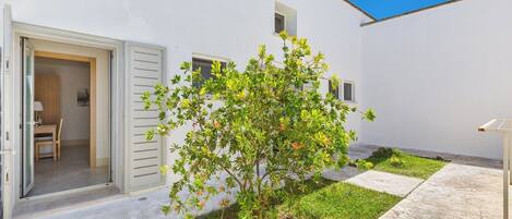 A white building with a small garden, a door, and a window.