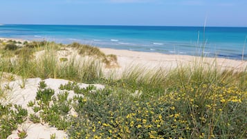 Una spiaggia nelle vicinanze