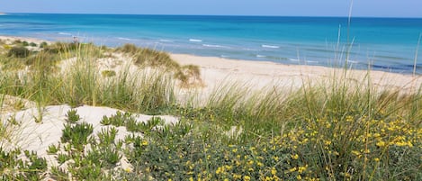 Una spiaggia nelle vicinanze